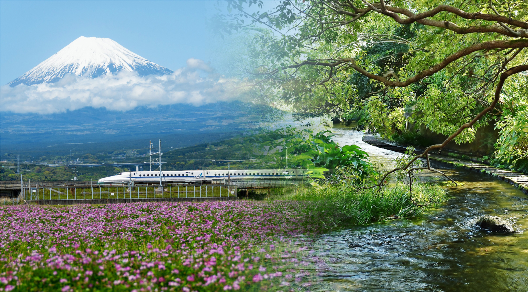 三島トラストビルディング